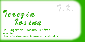 terezia kosina business card